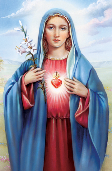 Immaculate Heart of Mary Bulletin