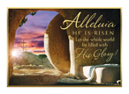 Alleluia He is Risen
