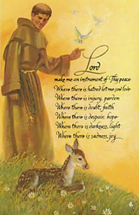 St. Francis Holy Card