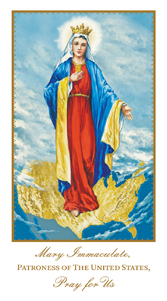 Mary, Patroness of the United States